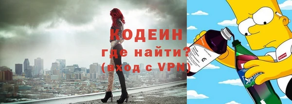 индика Пестово
