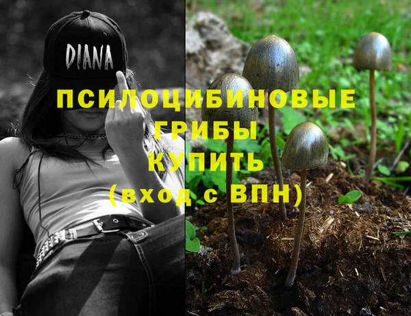 мет Алзамай