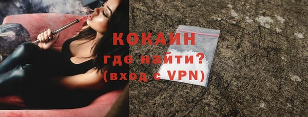 молекула духа Пересвет