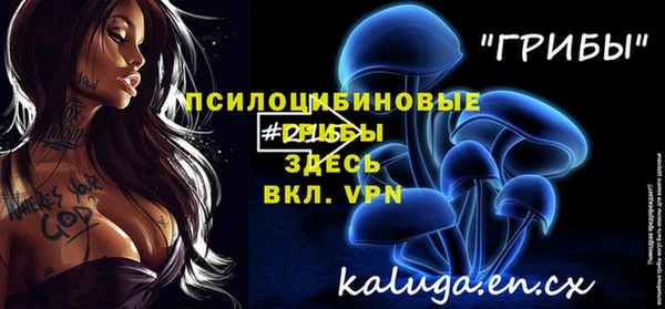 бутират Алексин