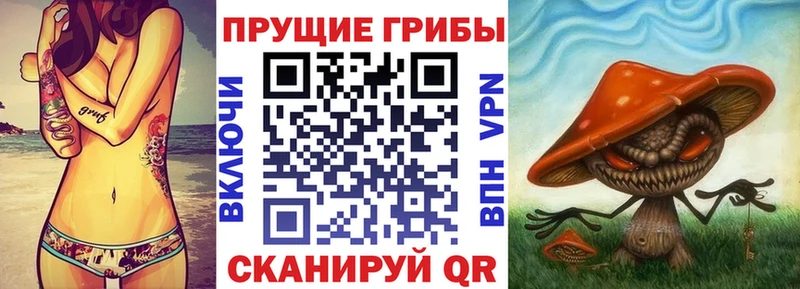 Галлюциногенные грибы мицелий Перевоз