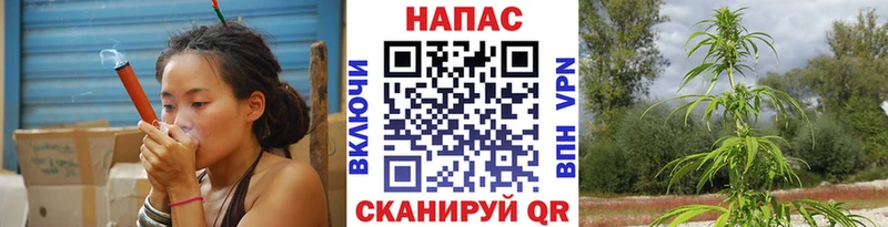 Бошки марихуана семена  Перевоз 